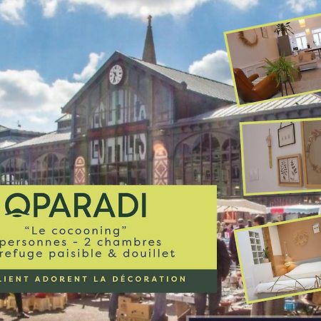 Oparadi "Le Coconing" En Plein Coeur Du Marche De Wazemmes Lille Eksteriør billede